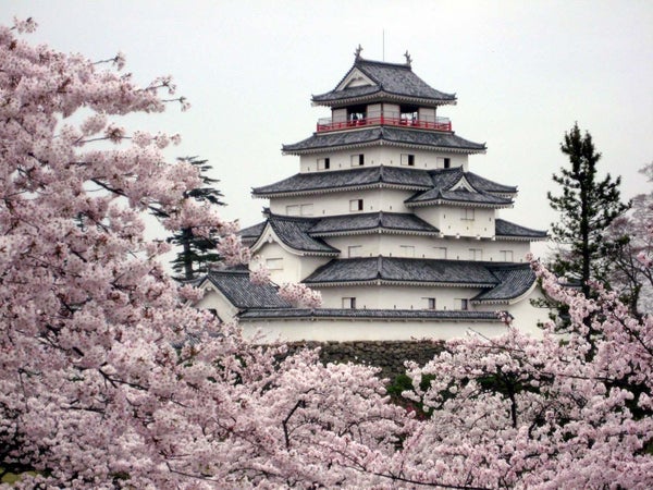 【山形県内発】 桜舞う!会津鉄道 「お座トロ展望列車」と会津・喜多方桜めぐり(日帰り)3